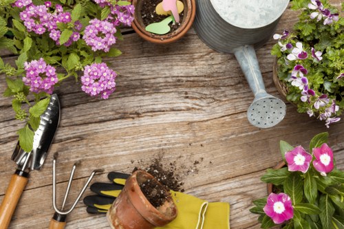 Garden landscaping in Finsbury Park with structured planting and pathway design