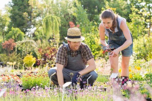 Garden makeover project in a Finsbury Park residential outdoor space