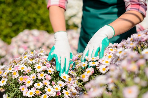 Professional landscaping team completing a safe outdoor service