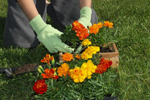 Recycling and reuse practices for urban landscaping in Finsbury Park
