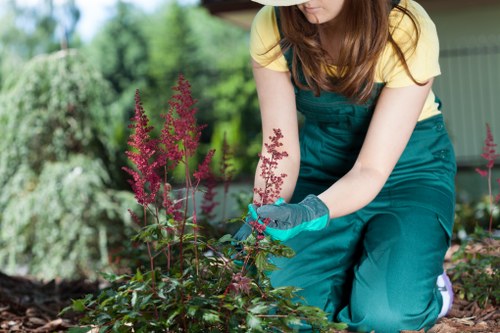 Professional patio groundwork and preparation for a garden project