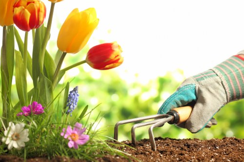 Professional turf preparation and levelling for a local North London property