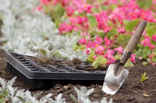 Local landscaping team planning a garden project in Finsbury Park