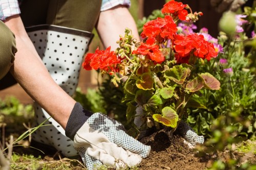 Screen-reader compatible landscaping information layout