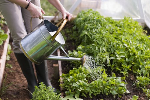 Hard landscaping and planting installation in North London